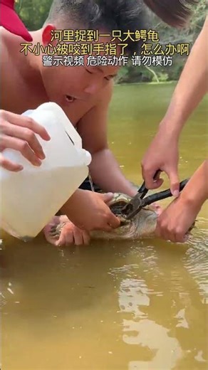 What should I do if my finger is bitten by a snapping turtle? How can I get it to open its mouth