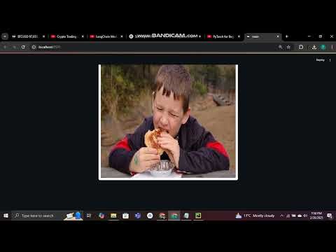 Image Captioning System using CNN & LSTM (Flickr8k Dataset)