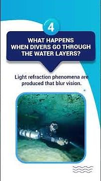 What Are The Differences Between A Halocline And A Thermocline?