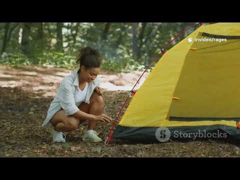 🪓⚔️⛏️🛡️🌙 Minecraft Survival Tips: Fight or Hide?