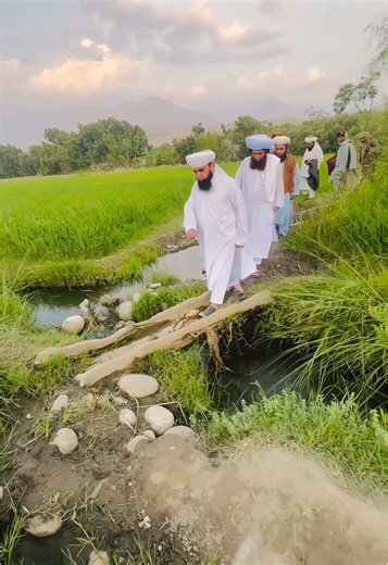 Understanding the Life of Hazrat Peer Syed Muhammad Kamal Shah Nuri