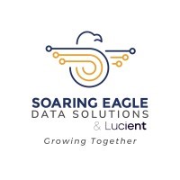 Soaring Eagle Data Solutions, Inc. | LinkedIn