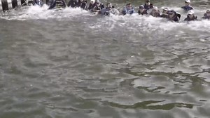 Stranded dolphin saved by rescuers forming a human chain