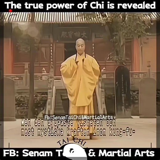 The true power of Internal Energy (Chi/Qi) in Shaolin Qi Gong lies in its ability to transform the body from the inside out, bridging conscious intention with physical action to produce extraordinary health, profound mental calmness, and immense, "effortless" martial power. Rooted in over 1,000 years of tradition, this practice goes beyond physical exercise, utilizing specialized breathing, visualization, and static poses to cultivate and circulate this life force (Qi) throughout the body's meri