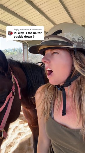Replying to @Heather K It’s not upside down- it’s fashion- thanks though. #horsegirl #funnyvideos #satiee #horsetack #equestrian