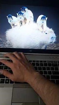 ¿Cómo soluciono este problema con mi laptop? ¡Me está volviendo loco! 😡