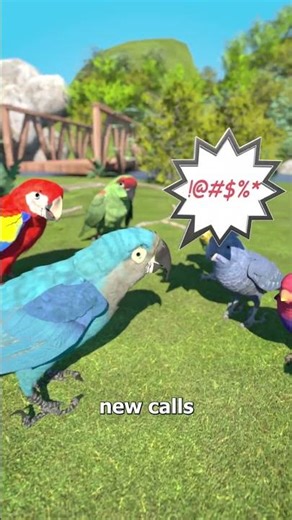 how wild birds learn to swear