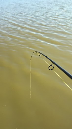 Wędkarstwo spinningowe na szczupaka — majówka i sprzęt Savage Gear