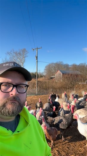 Hey Turkeys on Instagram: "Jump around 👨🏻‍🌾🦃🤣 #dadjokes #funny #turkey #thanksgiving #comedy"