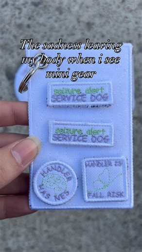 ☁️Annie☁️ on Instagram: "The cutest gear ever for the cutest trend! • Do you want your own mini gear follow along to see when news spots drop! • • • • • • #servicedog #servicedogsofinstagram #servicedoggear #servicedogs #servicedogvest #servicedogvests #servicedogvestsale #servicedogvestforsale #servicedogvestshop #servicedoggearforsale #servicedoggearshop #servicedoggearsale #servicedogvestfashion m #servicedogcape #servicedogcapes #servicedogcanada #servicedogcapesforsale #servicedogontario #s