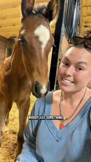 We have a WINNER of the Lakeland x KVS Stable Makeover!!! For those that didn’t win, use “kvsxlakeland” as a 5% discount code through April 15th!🐴✨ | Katie Van Slyke