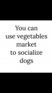 Dog Socialization Tips. How to socialize dogs? Socializing a dog is important to ensure that they are comfortable around people and other dogs, and to prevent aggressive behavior. Here are some tips on how to socialize your dog: Start early: It's best to start socializing your dog at a young age, ideally between 3-14 weeks. This is a crucial time for your puppy to learn social skills and become comfortable around different people, animals, and environments. Positive reinforcement: Use treats and