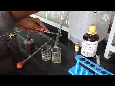 Ninhydrin test for proteins (Qualitative test)