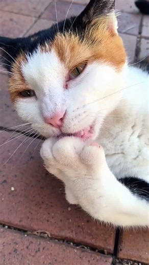 cleaning the bread factory 🏭