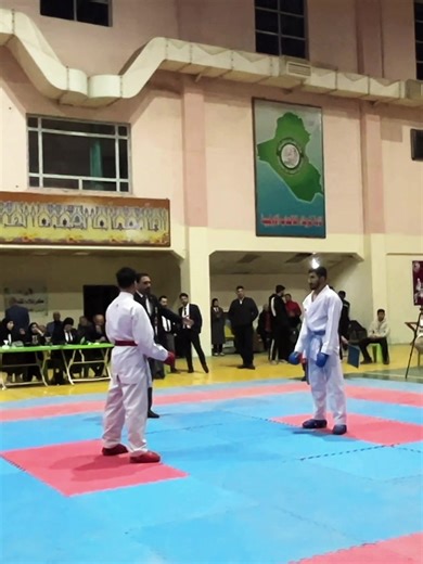 Karate Techniques for Street Fighting