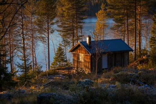 Vianney : « Un endroit où je puisse mettre un piano, un lit, une table», sa paisible cabane en bois au beau milieu de la forêt qu’il construit tout seul depuis des mois