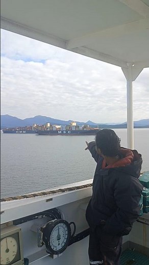 MSC Mafia Shiping Containers Full Loaded | MSC Ship | Container Ship #msc #containership # #msccargo