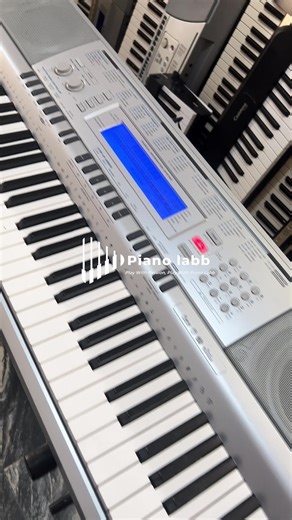 Casio WK-210: Piano for Learners & Advanced Players