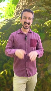 8.7K views · 182 reactions | The History of Land PlantsPart 1Plants...