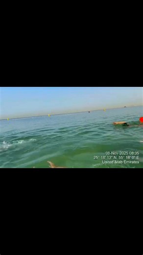 Unleash Your Inner Titan! 💪 At Titans Swimming Academy, we don't just swim - we conquer! 🏊‍♀️ Join our legendary team and become a Titans Legend! 🌟 Develop your skills, build your confidence, and be part of a community that pushes you to be your best! Contact us at 0503984143 to learn more and join the Titans family! #TitansLegends #ConquerTheWater #swimmingacademy | Titans Swimming Academy