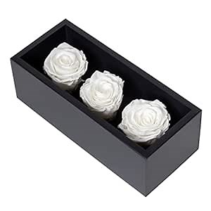 Preserved Roses in Wood Box, 3 White Birthday Flowers for Delivery Prime, Everlasting Flowers, Natural Forever Roses That Last for Years, Eternal Rose, Gift Delivery for Mom