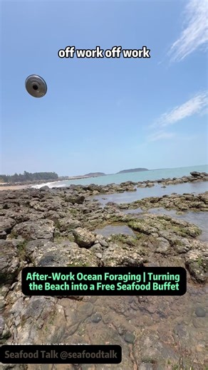 Discovering Edible Treasures: After-Work Ocean Foraging