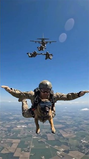 Military K9 Jumps From C-130 With Special Forces at 10,000 Feet 🐾✈️
