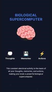 most complex organism human body
