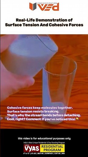 Surface Tension in Action 🌊 | Real-Life Demo of Cohesive Forces