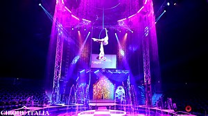 5.6K views · 84 reactions | Must See Cirque Italia Preview Dive Into...