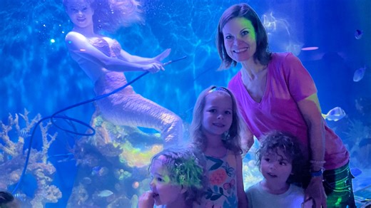 'The Little Mermaid' inspires West Palm mom to take family to see Florida's live mermaids
