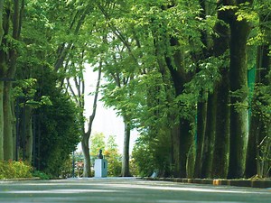 IoT/AI　プログラム