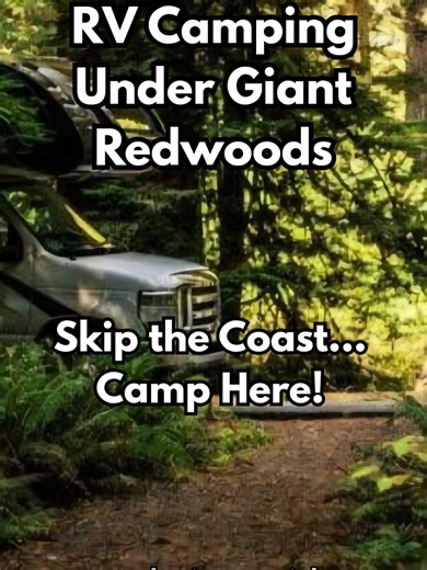 Everyone talks about camping along California’s famous coastline or inside the big national parks. But what many RVers don’t realize is that some of the most peaceful and memorable camping in California happens tucked away in the redwood forests. That’s exactly what you’ll find at Redwood Resort in the Santa Cruz Mountains. This small, quiet campground sits beneath towering redwood trees that can reach hundreds of feet into the sky. The moment you pull in, the air feels cooler, the forest smells