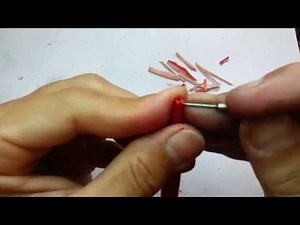 These people share their unusual hobbies