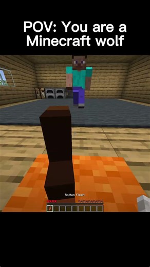 Life as a Minecraft Wolf #minecraft #shorts