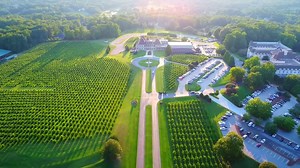 792 reactions · 173 shares | Love is always in the air at Chateau Elan. Celebrate Valentine's weekend at the most romantic resort in North Georgia with our luxury overnight packages and exclusive events. | Chateau Elan Winery & Resort | Facebook