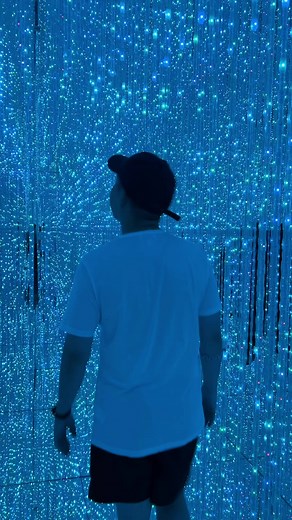 Museu mais instagramavel do Japão 🇯🇵 Fui primeira vez no TeamLab em Tóquio, um museu que combina arte digital e a beleza da natureza. #brasileirosnojapão #vidanojapão #vidanojapao🇯🇵 #brasileirospelomundo #curiosidadessobreojapao #teamlab #teamlabtokyo