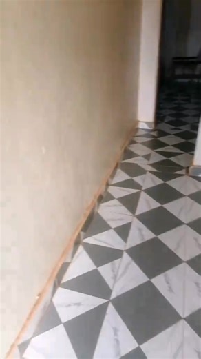 awori wa alien skin (@aworiwaalienskin)’s videos with Rule number one free style AlienSkin - Kem👒🍁🍂