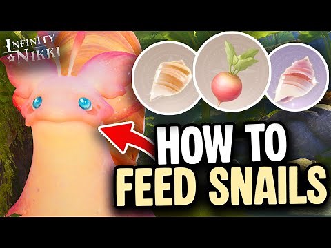 How to Feed & Cure Snails for Shell Crystals! - Infinity Nikki Version 2.0