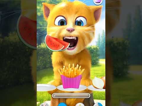 🧩 Unlocking All Puzzles in Talking Ginger 2! 🐾 |