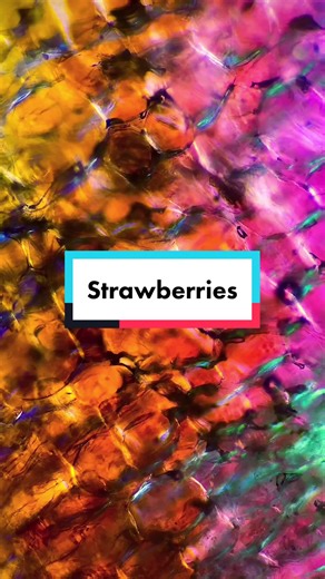 The Amazing Benefits of Strawberries You Need to Know! 🍓