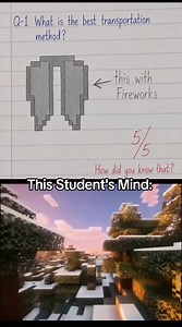 This Minecraft Student has really good mind! Follow for more! #elytra #minecraft #trabsport #fireworks #edit