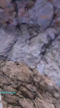 This kid was using preds cause there was no mods in the game🙏🪡 #gorillatag #preds #lowhertz #comp