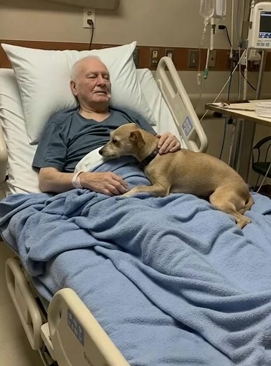 "They let him say goodbye to his dog — a few hours later, the nurse...