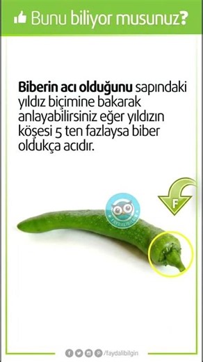 Biberin acı olduğunu nasıl anlarsın… #keşfetbeniöneçıkar #shortvideo #shorts #biber #beniöneçıkart