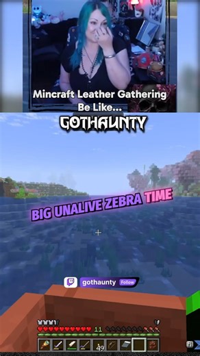 The Unspoken Truth of Minecraft Leather