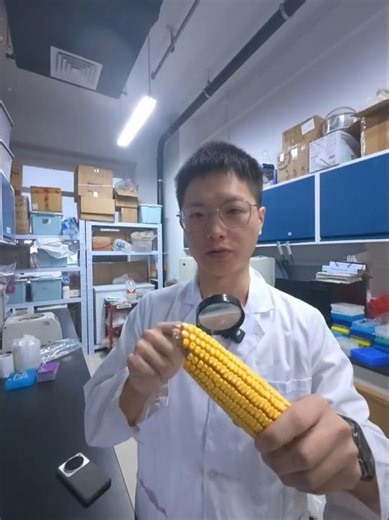 🌽统治人类味觉的阴谋：揭秘高果糖浆背后的“🧬基因侵略”。#科普 #进化论 #生物学 #冷知识 #暗影实验室 #玉米 #基因密码