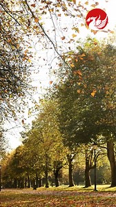 86K views · 263 reactions | Liverpool's 5 happiest places to live have been revealed...  #liverpoolecho #liverpoolnews #listicle #culture #properties | Liverpool Echo News | Facebook