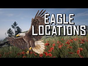 Red Dead Online: Where to Find Eagles – Complete Location Guide