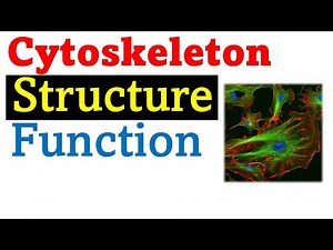 Cytoskeleton structure and Function Video Lecture | Crash Course for CSIR NET Life Sciences (English)